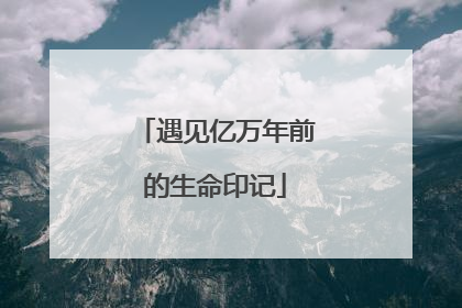遇见亿万年前的生命印记
