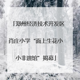 郑州经济技术开发区肖庄小学“面上生花小小非遗馆”揭幕