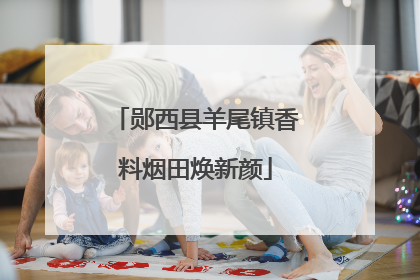 郧西县羊尾镇香料烟田焕新颜