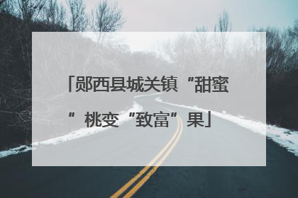 郧西县城关镇“甜蜜”桃变“致富”果