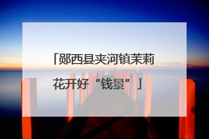 郧西县夹河镇茉莉花开好“钱景”