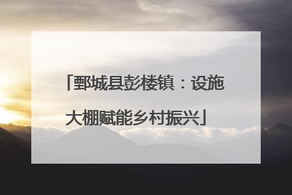 鄄城县彭楼镇：设施大棚赋能乡村振兴