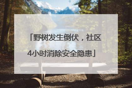 野树发生倒伏，社区4小时消除安全隐患