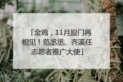 金鸡，11月厦门再相见！范丞丞、齐溪任志愿者推广大使