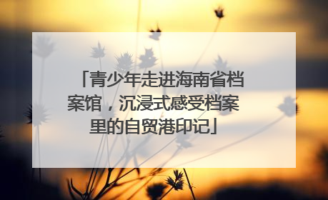 青少年走进海南省档案馆，沉浸式感受档案里的自贸港印记