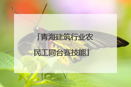 青海建筑行业农民工同台赛技能
