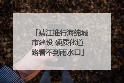 靖江推行海绵城市建设 硬质化道路看不到雨水口