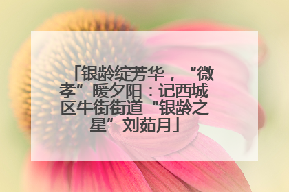 银龄绽芳华，“微孝”暖夕阳：记西城区牛街街道“银龄之星”刘茹月