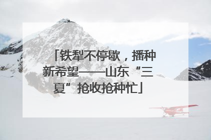 铁犁不停歇，播种新希望——山东“三夏”抢收抢种忙