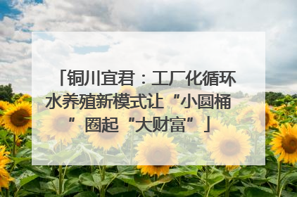 铜川宜君：工厂化循环水养殖新模式让“小圆桶”圈起“大财富”