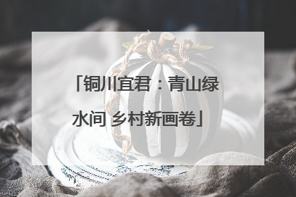 铜川宜君：青山绿水间 乡村新画卷