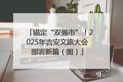 锚定“双强市”！2025年吉安文旅大会部署新篇（图）