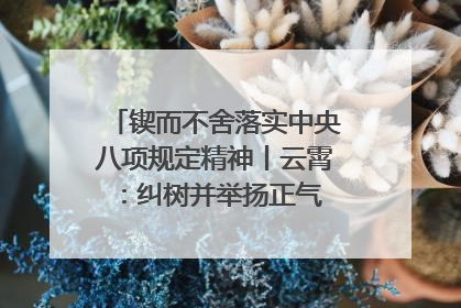 锲而不舍落实中央八项规定精神丨云霄：纠树并举扬正气 作风建设谱新章