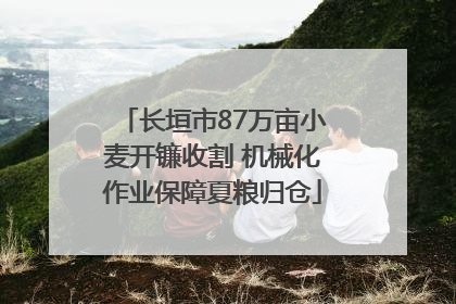 长垣市87万亩小麦开镰收割 机械化作业保障夏粮归仓