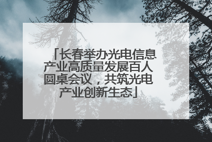 长春举办光电信息产业高质量发展百人圆桌会议，共筑光电产业创新生态