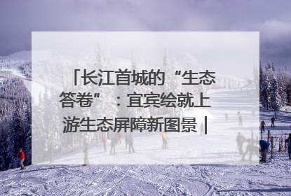 长江首城的“生态答卷”：宜宾绘就上游生态屏障新图景｜中华环保世纪行