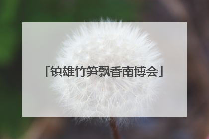 镇雄竹笋飘香南博会