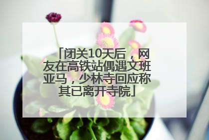 闭关10天后，网友在高铁站偶遇文班亚马，少林寺回应称其已离开寺院