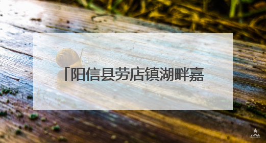 阳信县劳店镇湖畔嘉苑社区打造家门口的“光影文化盛宴”