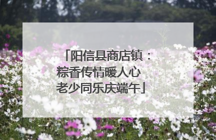 阳信县商店镇：粽香传情暖人心 老少同乐庆端午