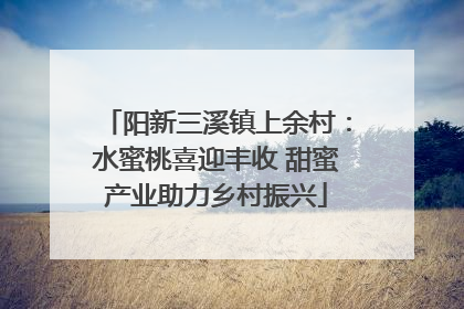 阳新三溪镇上余村：水蜜桃喜迎丰收 甜蜜产业助力乡村振兴
