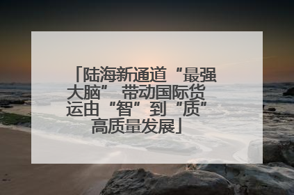 陆海新通道“最强大脑” 带动国际货运由“智”到“质”高质量发展