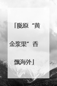 陇原“黄金浆果”香飘海外