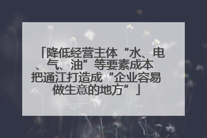 降低经营主体“水、电、气、油”等要素成本 把通江打造成“企业容易做生意的地方”