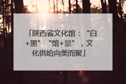 陕西省文化馆:“白+黑”“馆+景”,文化供给向美而聚
