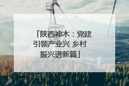 陕西神木：党建引领产业兴 乡村振兴谱新篇