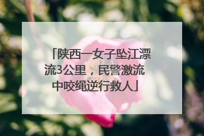 陕西一女子坠江漂流3公里，民警激流中咬绳逆行救人