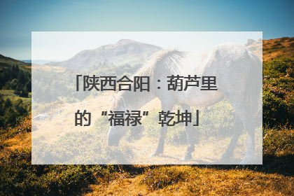 陕西合阳：葫芦里的“福禄”乾坤
