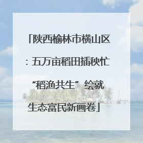 陕西榆林市横山区：五万亩稻田插秧忙 “稻渔共生”绘就生态富民新画卷