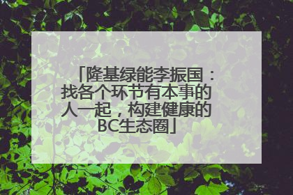 隆基绿能李振国：找各个环节有本事的人一起，构建健康的BC生态圈