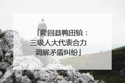隆回县鸭田镇：三级人大代表合力调解矛盾纠纷