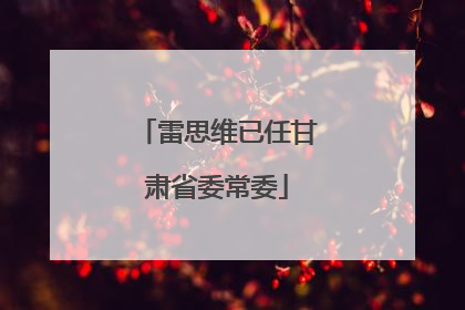 雷思维已任甘肃省委常委