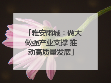 雅安雨城：做大做强产业支撑 推动高质量发展