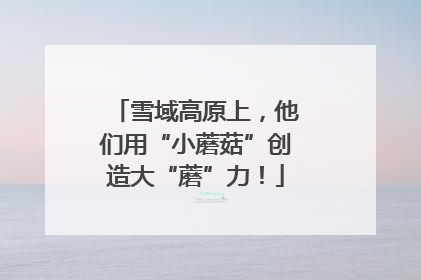雪域高原上，他们用“小蘑菇”创造大“蘑”力！