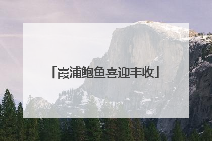 霞浦鲍鱼喜迎丰收