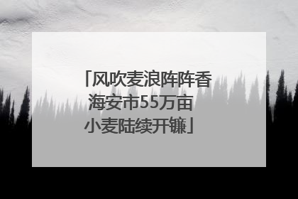 风吹麦浪阵阵香 海安市55万亩小麦陆续开镰