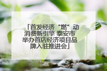首发经济“燃”动消费新引擎 泰安市举办首店经济项目品牌入驻推进会