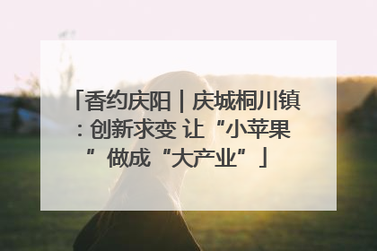 香约庆阳｜庆城桐川镇：创新求变 让“小苹果”做成“大产业”