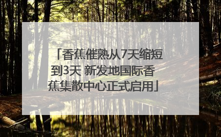 香蕉催熟从7天缩短到3天 新发地国际香蕉集散中心正式启用