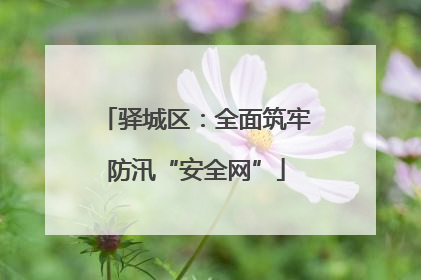 驿城区：全面筑牢防汛“安全网”