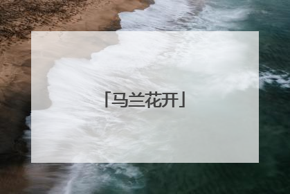 马兰花开