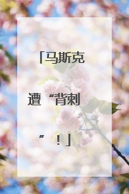 马斯克遭“背刺”！