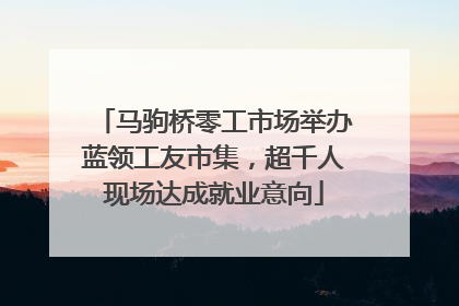 马驹桥零工市场举办蓝领工友市集，超千人现场达成就业意向
