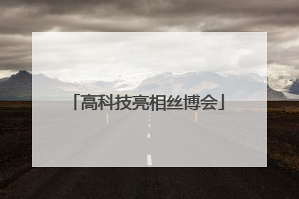 高科技亮相丝博会