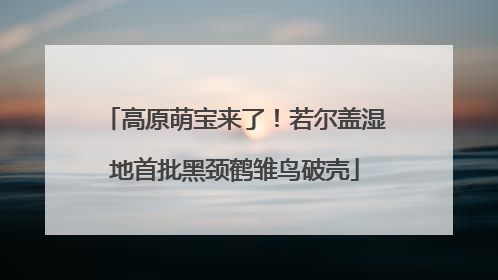 高原萌宝来了！若尔盖湿地首批黑颈鹤雏鸟破壳