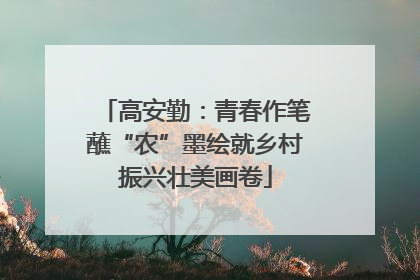 高安勤：青春作笔蘸“农”墨绘就乡村振兴壮美画卷